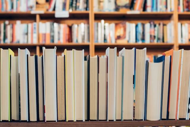 books lined up in front of shelves