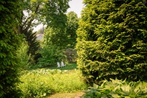 Garden view by Room 3's door