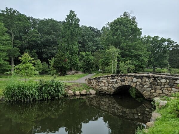 bridge at binney park