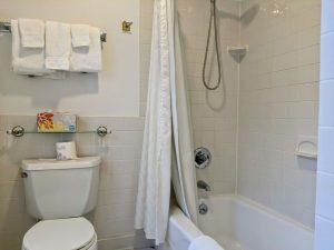 Historic Room With Queen Bed And Spacious Bath: Room 26 11 room 26 toilet tub scaled 1 Historic Room with Queen Bed and Spacious Bath: Room 26
