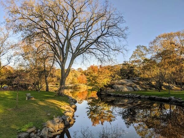 Bruce Park in the fall