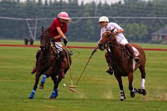 Polo players playing a game