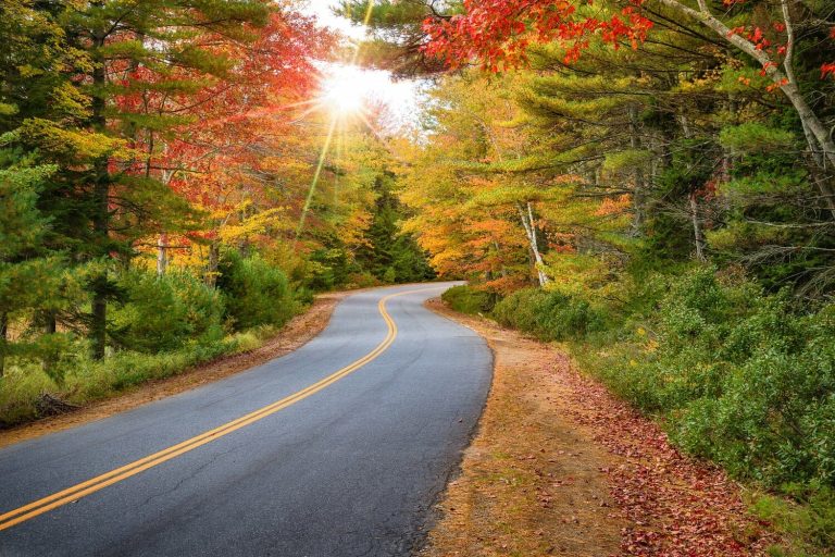 Connecticut Fall Foliage, winding road