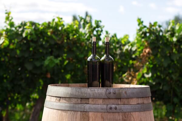 wine bottles best wineries in ct wine trail Best Wineries in CT: Top 13 Most Unique Spots