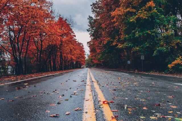 scenic road connecticut fall foliage Connecticut Fall Foliage: Everything You Need to Know