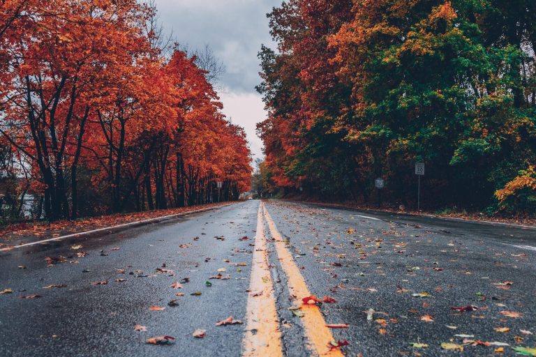 scene of a road along one of the best connecticut fall foliage driving routes