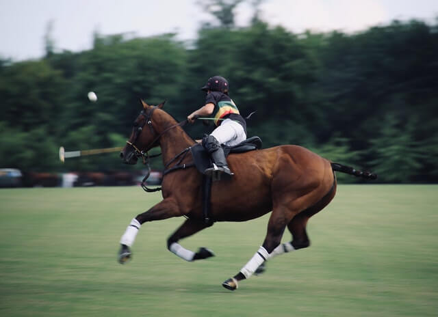 Polo player playing a game of polo