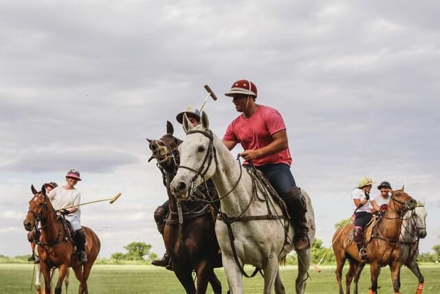 A polo match at the Greenwich Polo Club