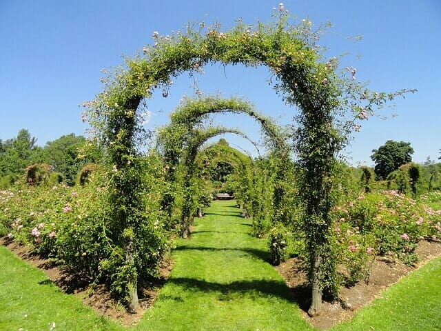 A free stroll through the Elizabeth Park Rose Gardens in Hartford is one of the best outdoor activities in CT