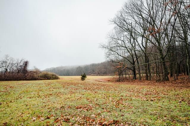 meadow outdoor activities in ct Outdoor Activities In CT: Top 23 Most Unique Spots