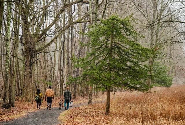 hiking best parks in ct Parks In CT: Top 14 Most Unique Spots