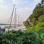 sailboats in front of the chimes building at greenwich point park