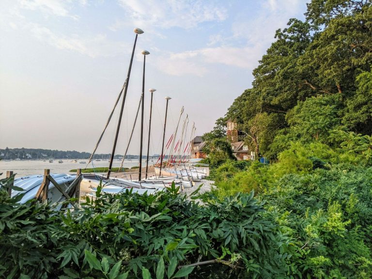 sailboats in front of the chimes building at greenwich point park