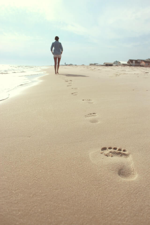 walking on the beach is one of the top summer activities in ct
