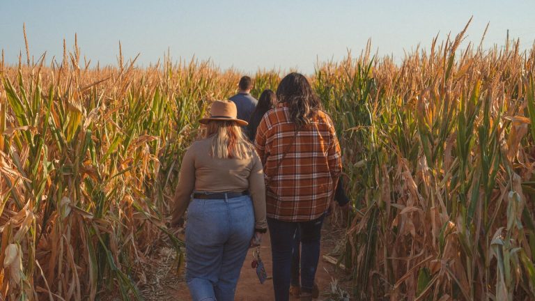 adult friends exploring a corn maze in CT