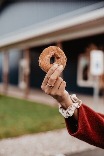 apple cider doughnuts