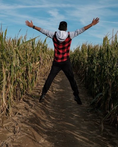 man jumping in a corn maze during the fall season