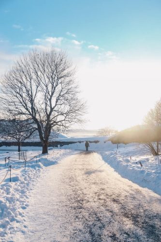 winter path things to do in january e1728331925673 Things to Do in CT in January: Top 15 Most Unique Spots