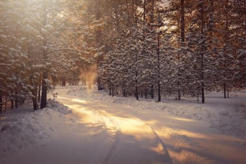 winter road things to do in ct in january e1728331911926 Things to Do in CT in January: Top 15 Most Unique Spots