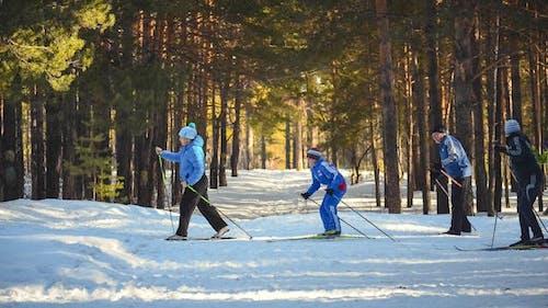 A fun trip cross-country skiing along snow trails in CT