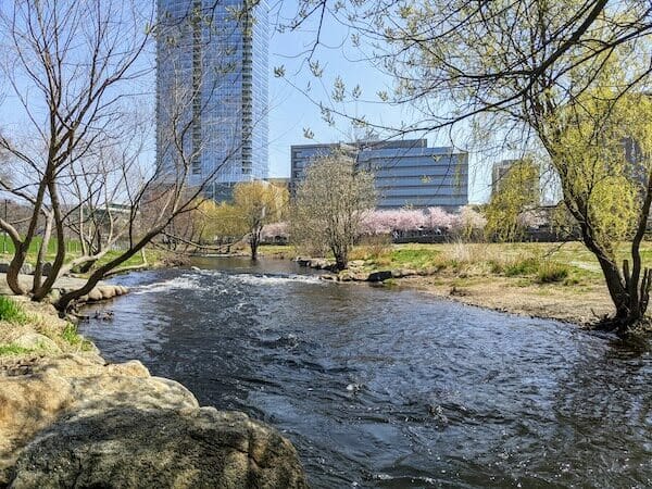 View of the Rippowam River in spring