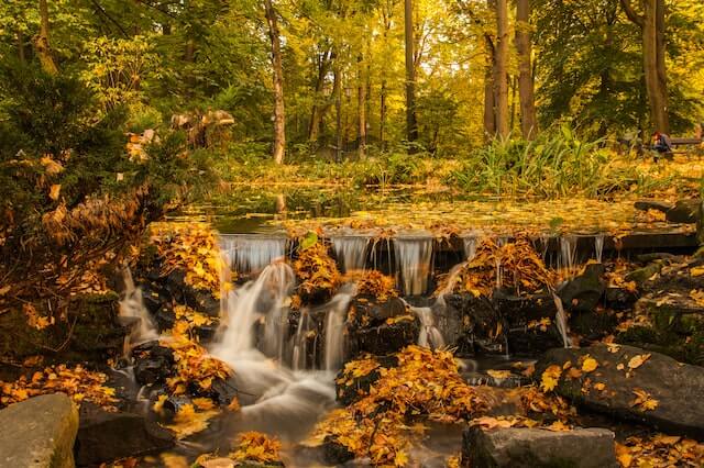 waterfall in autumn