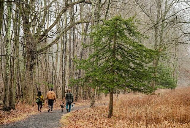 autumn walking trail