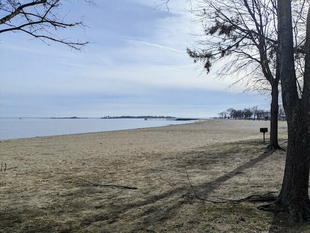 the beach at calf pasture beach
