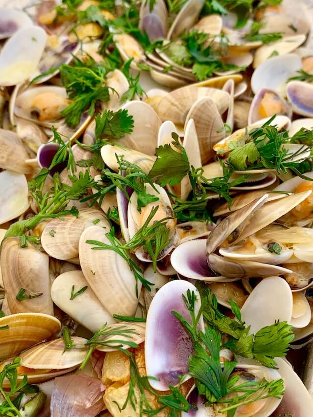 clambake at sheffield island lighthouse