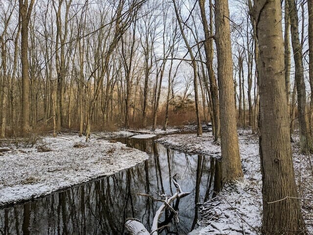 section of the pequonnock river trail in monroe, ct
