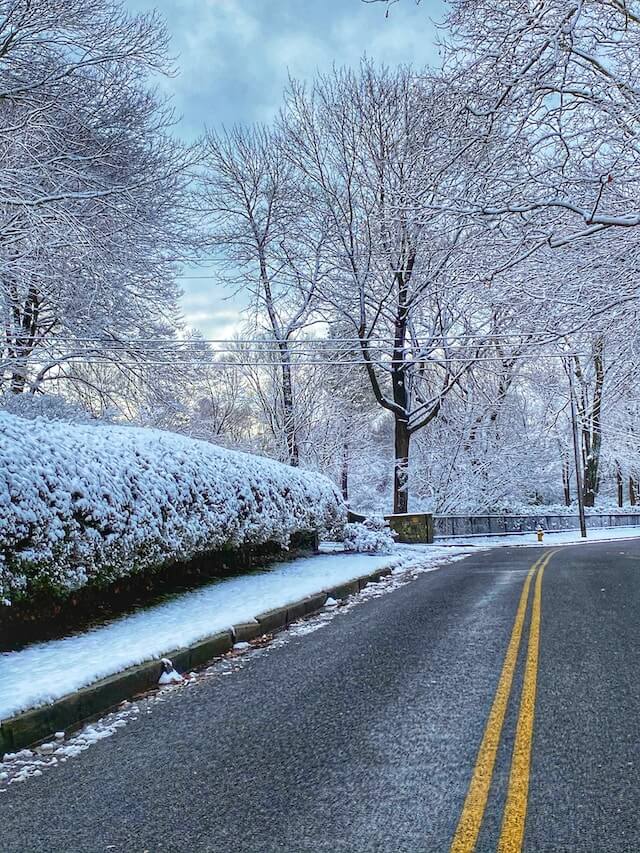 road through saint mary's by the sea in winter