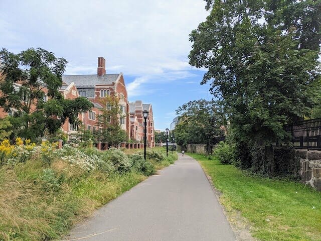Yale university campus