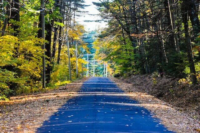 Things To Do In Ct In October: Top 23 Most Unique Picks 9 A country road in Connecticut, covered with fallen leaves