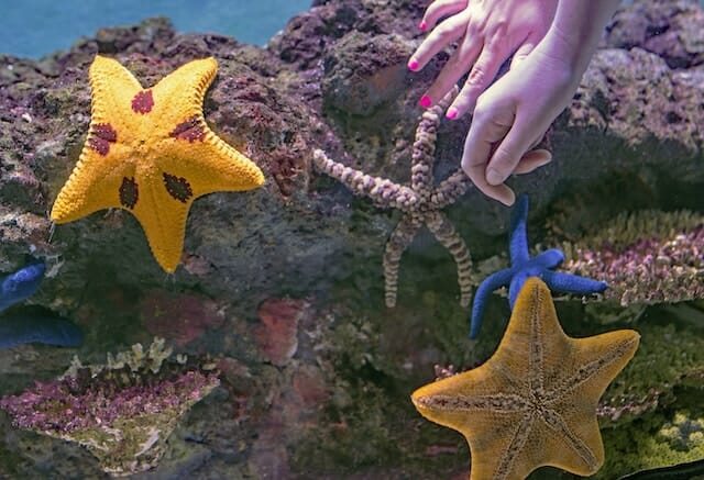 marine tank