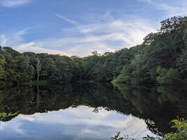 Pond at Weir Farm