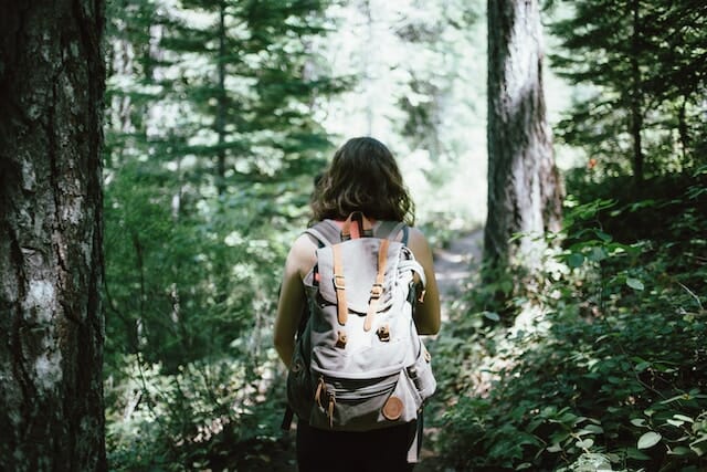 woman hiking through a hemlock forest