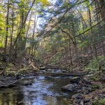 Mianus River Gorge Preserve doesn't have lean to camping or picnic areas, but it's a nice park with access only in warmer months