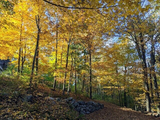 The natural beauty of Haystack Mountain State Park