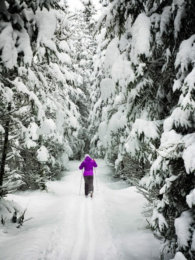 Cross-country skiing through the wooded trails of Ward Pound Ridge Reservation