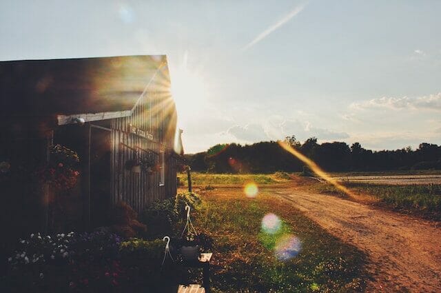 The Pickin' Patch on Nod Road