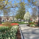 Coe Memorial Park in spring, one of the best things to do in Torrington, CT along with the Torrington Historical Society