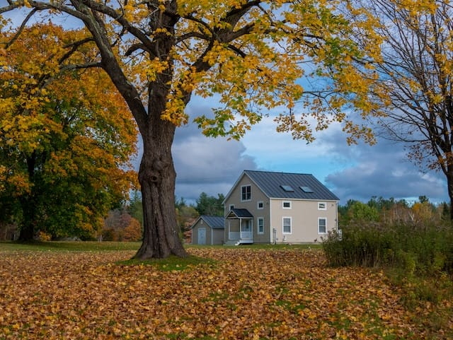 Road Trips From Nyc: Top 50 Most Unique Spots 9 Fall foliage in the Berkshires
