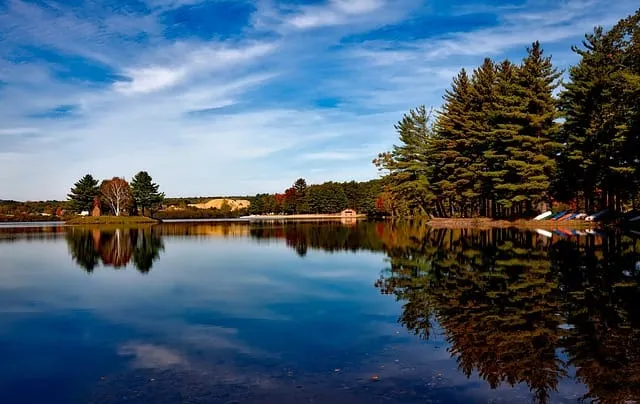 Dunning Lake from the beach