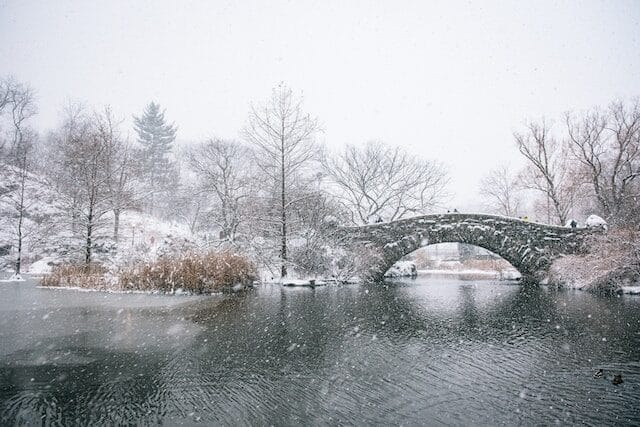 A snowy Central Park in New York City with snow covered trees