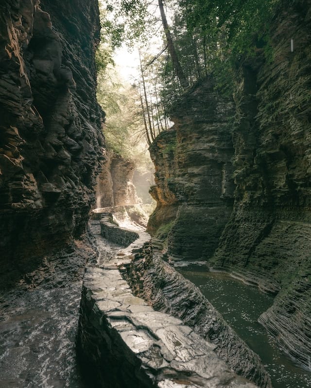 Trailway along a stream