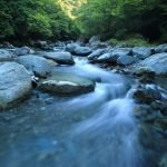 Salmon River State Forest, one of the best things to do in East Hampton, CT