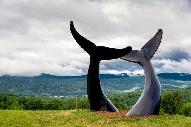 Roadside attraction in Randolph, VT