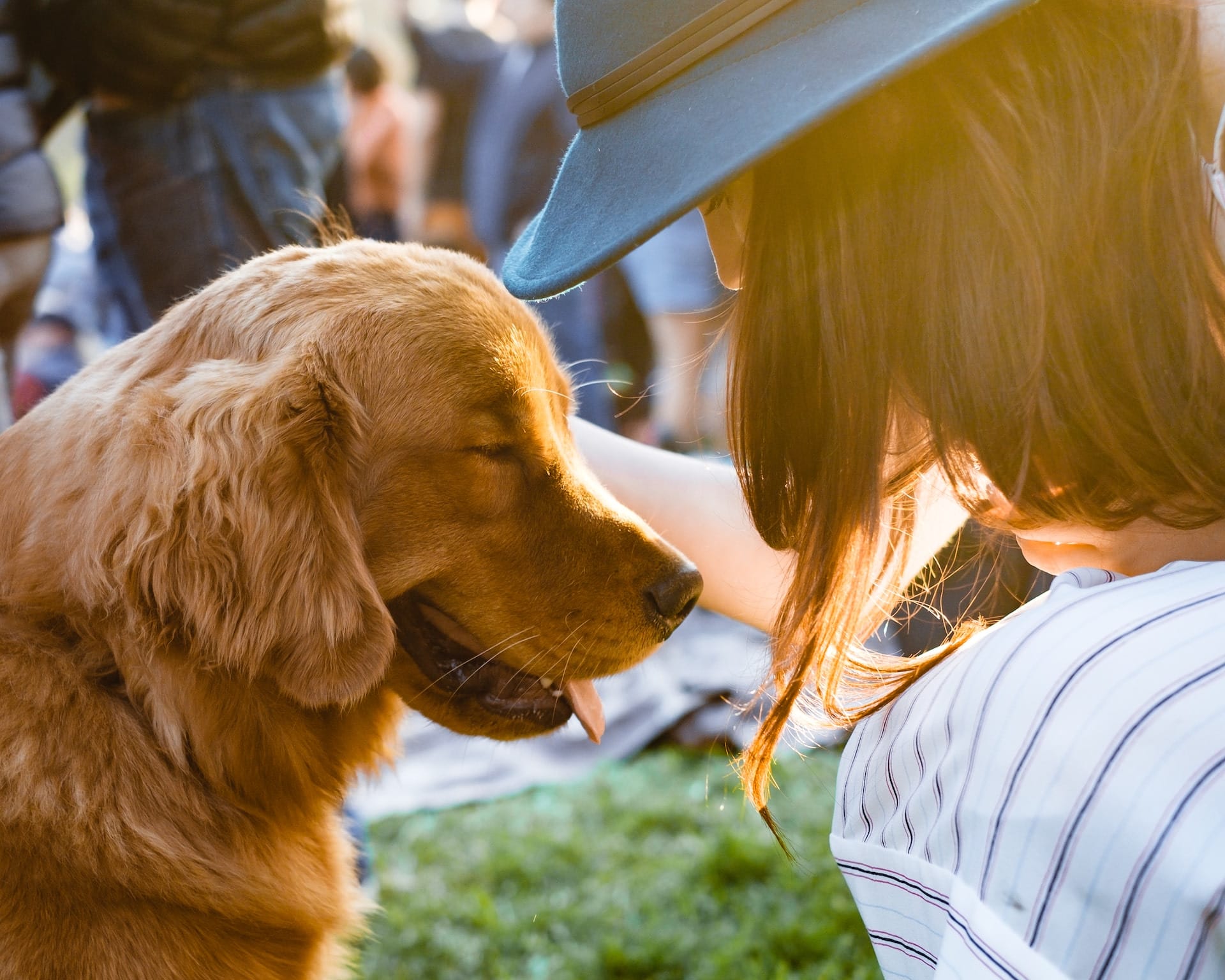pet friendly vacations near NYC with your favorite pup