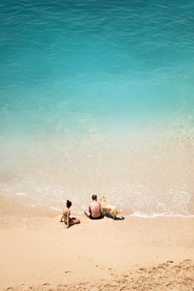 Pet Friendly Getaway Near Me: How To Find Your Perfect Spot 10 Couple enjoying a beach far from the Big Apple with their pup