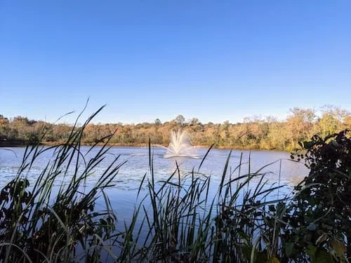 Diverse landscape of Rockland Preserve in Madison CT, perfect for outdoor adventures and wildlife spotting